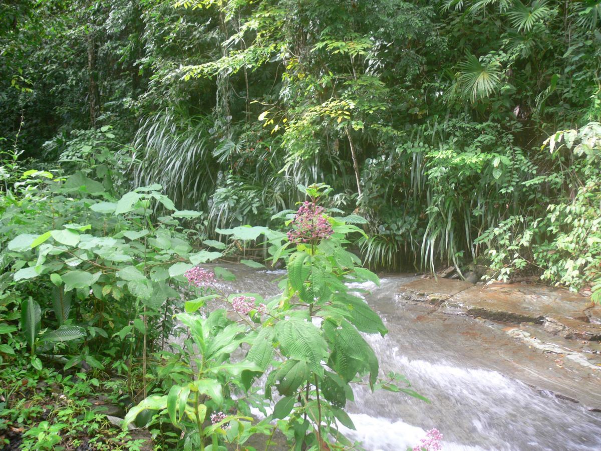 Waterfall Villas Baru 外观 照片